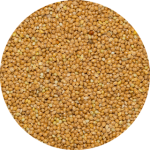 10122_10120_Millet.png