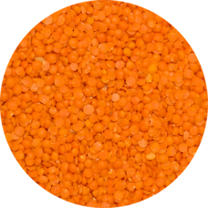 13201_13200-Lentils red split.png