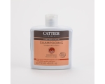 Šampoon rosmariiniga rasustele juustele 250ml Cattier